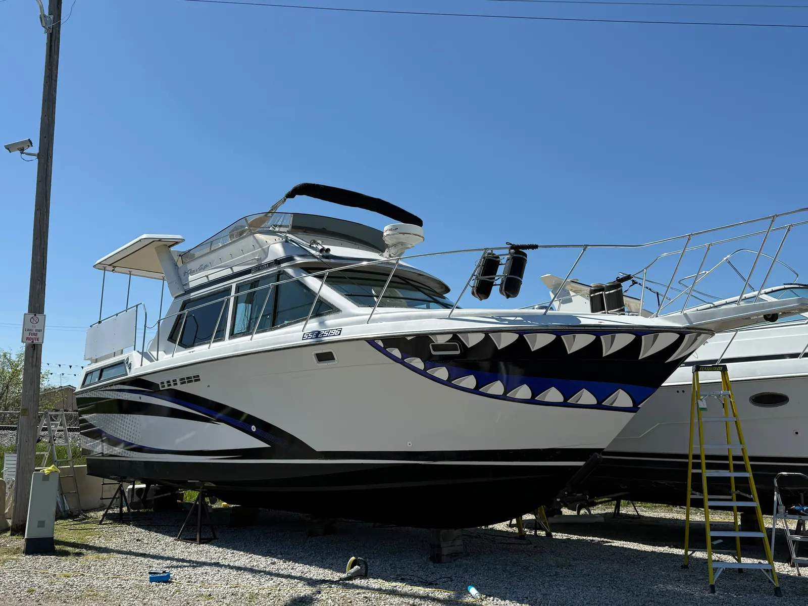 Boat bow with custom shark graphics